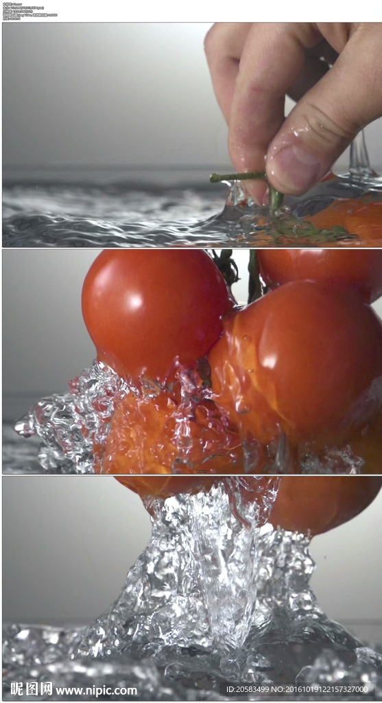 将番茄从水中提出慢镜头