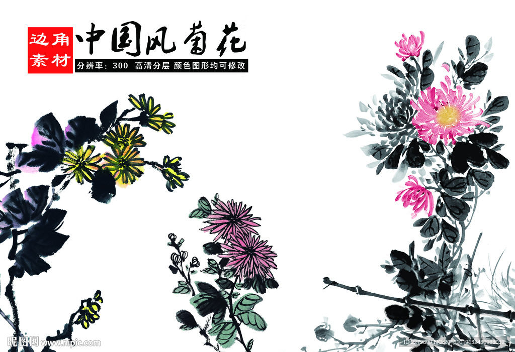 水墨菊花