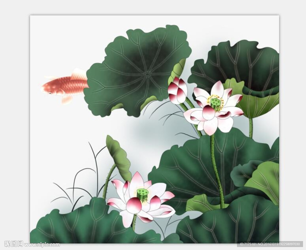 手绘大型荷花