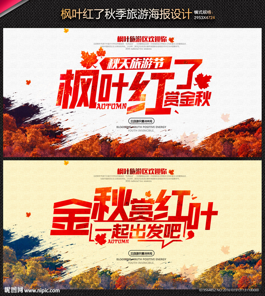 旅游 枫叶红了