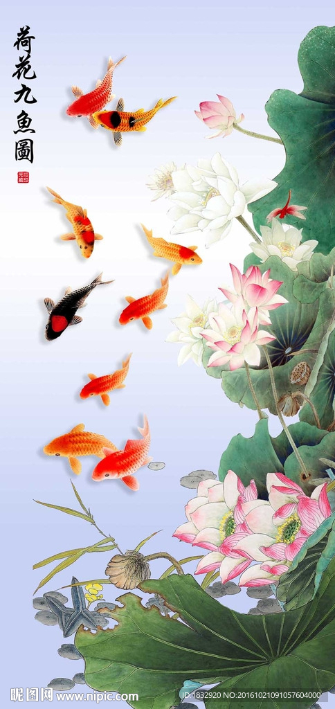 荷花九鱼图