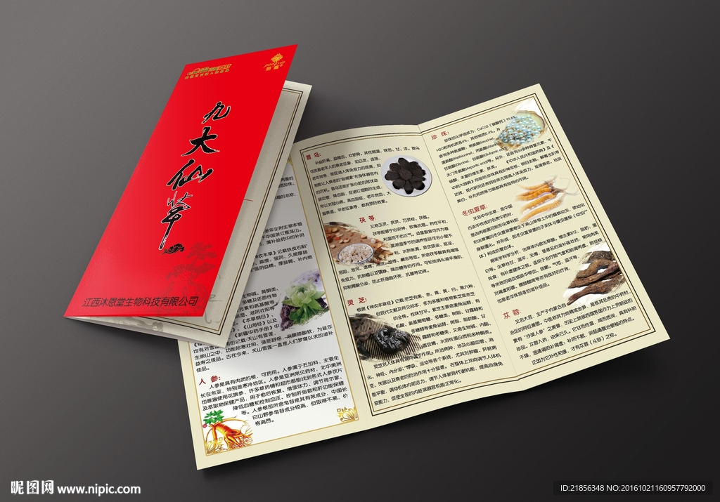 中药三折页