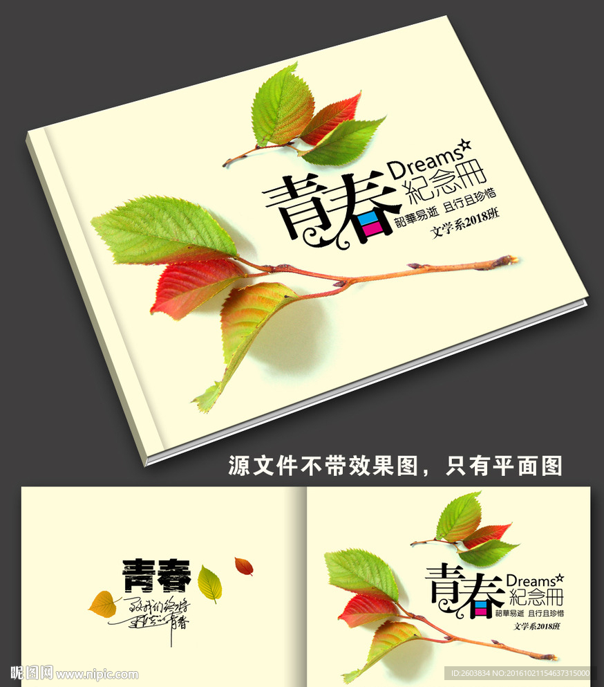 青春纪念册封面