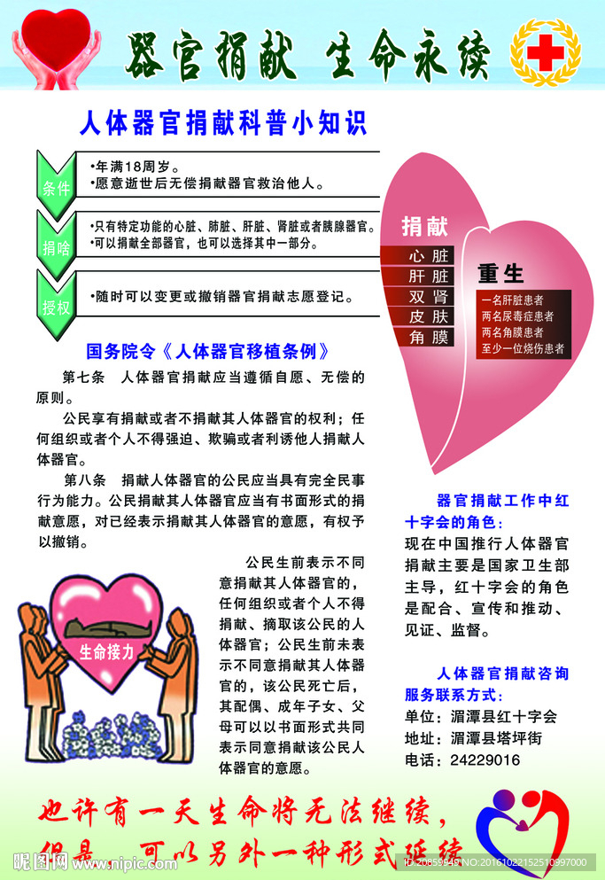 红十字会