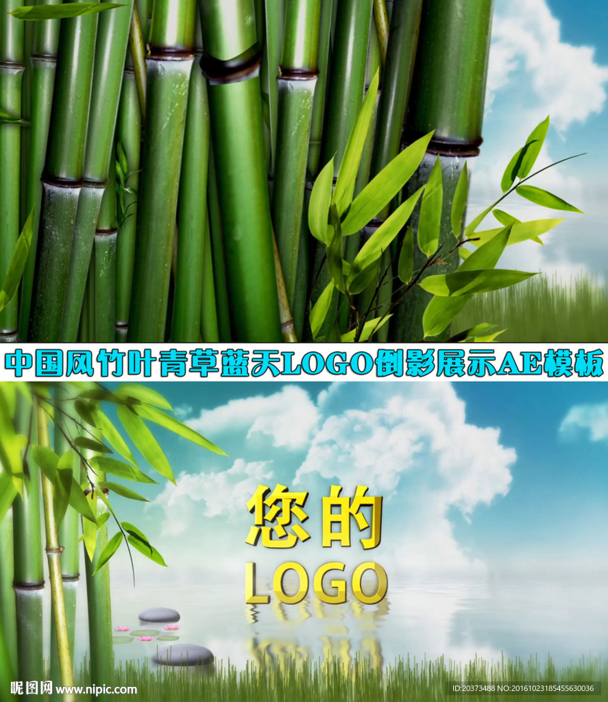 竹林湖面logo揭示开场AE