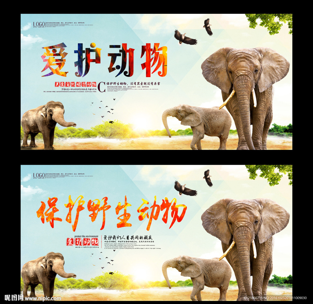 保护动物
