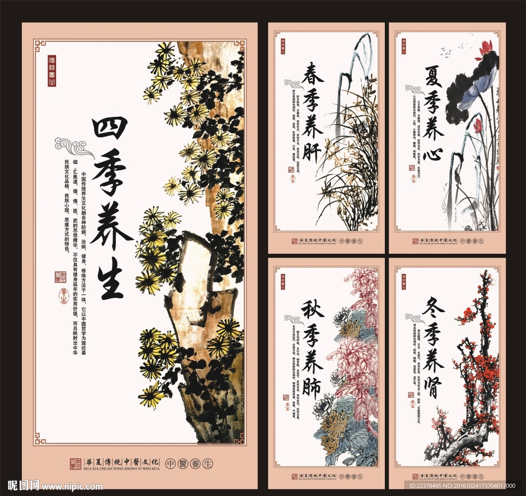 四季养生