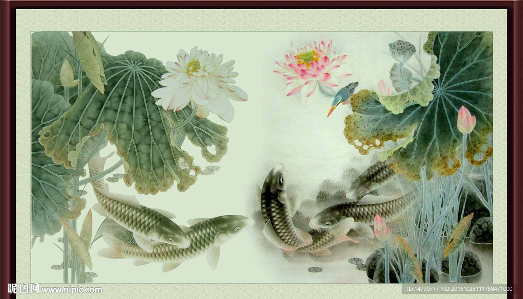 荷花鲤鱼图
