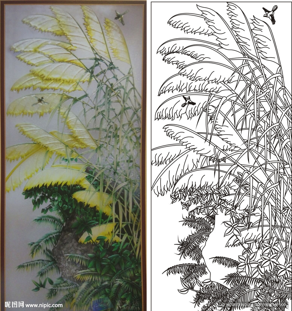 芦苇