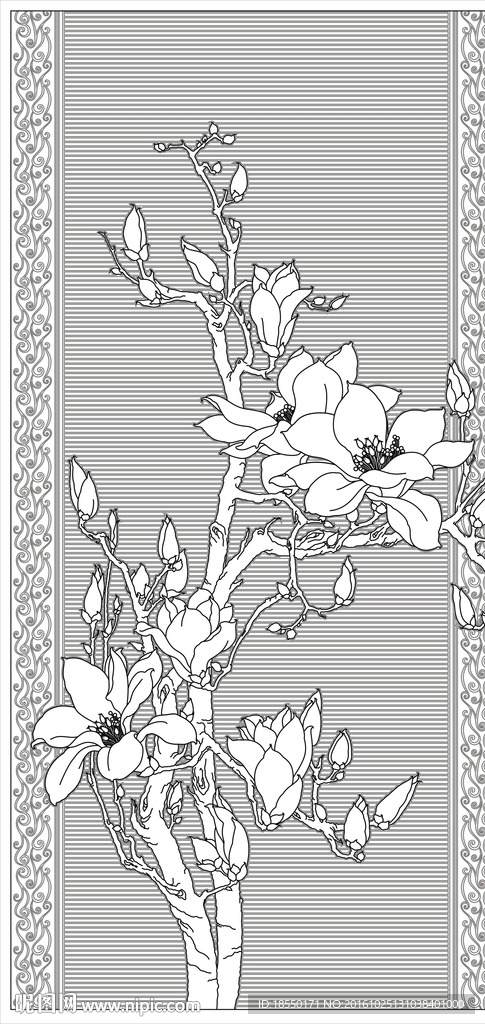 玉兰花