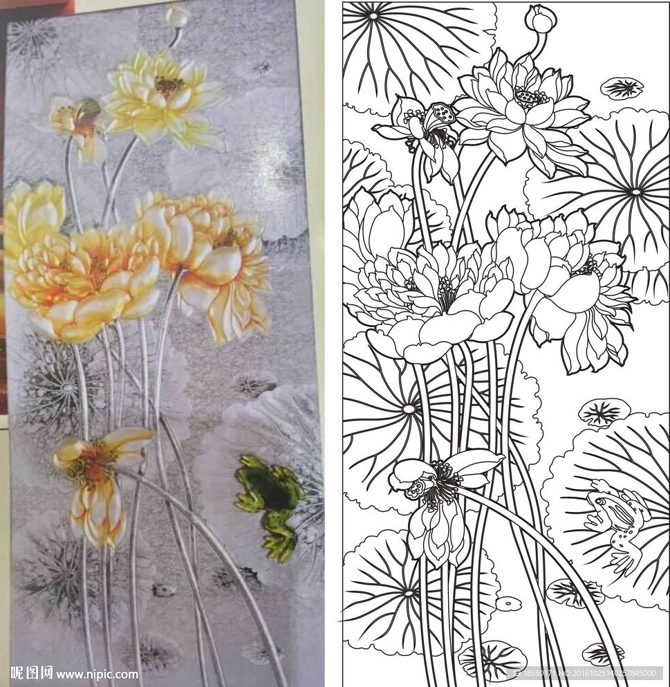 荷花