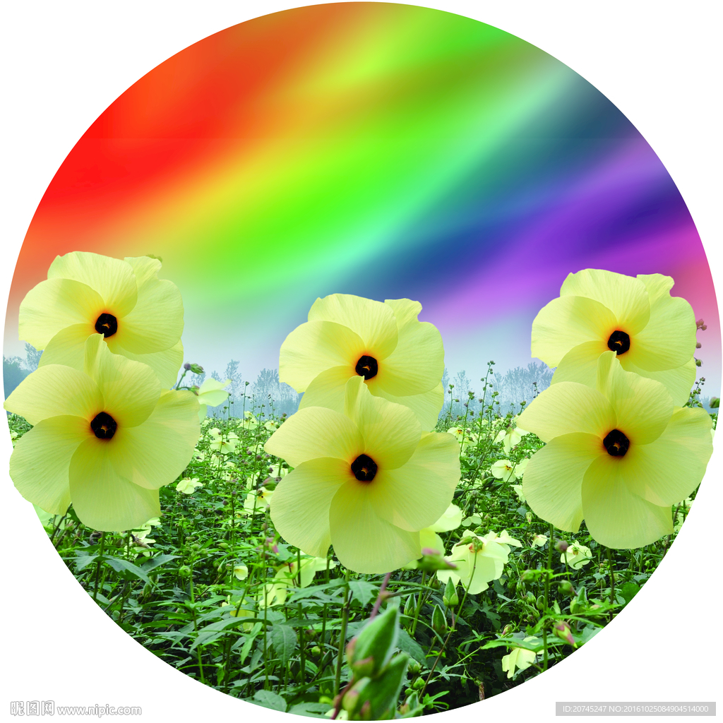 金花葵地贴背景