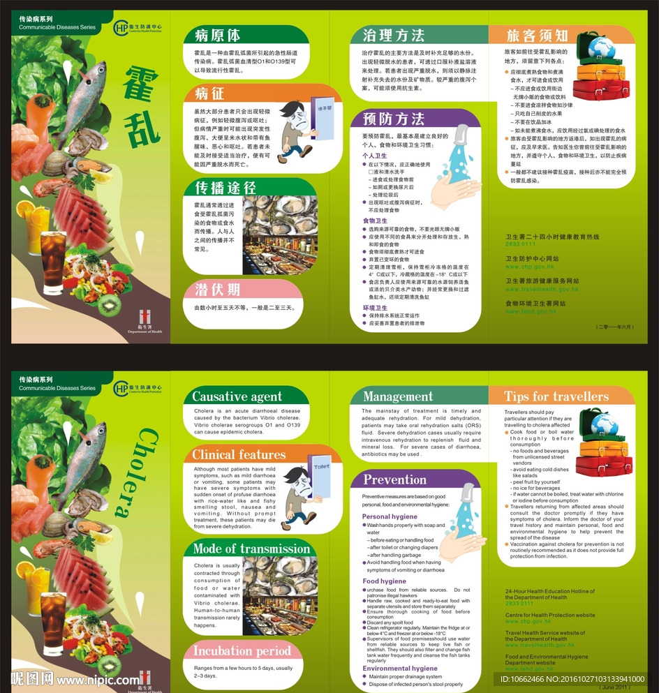 传染病系列 霍乱 四折页