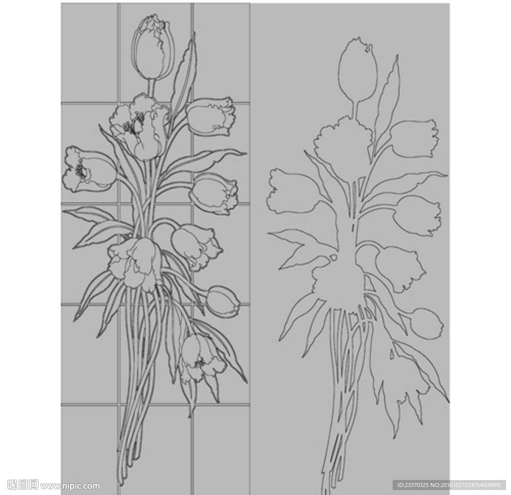 郁金香花