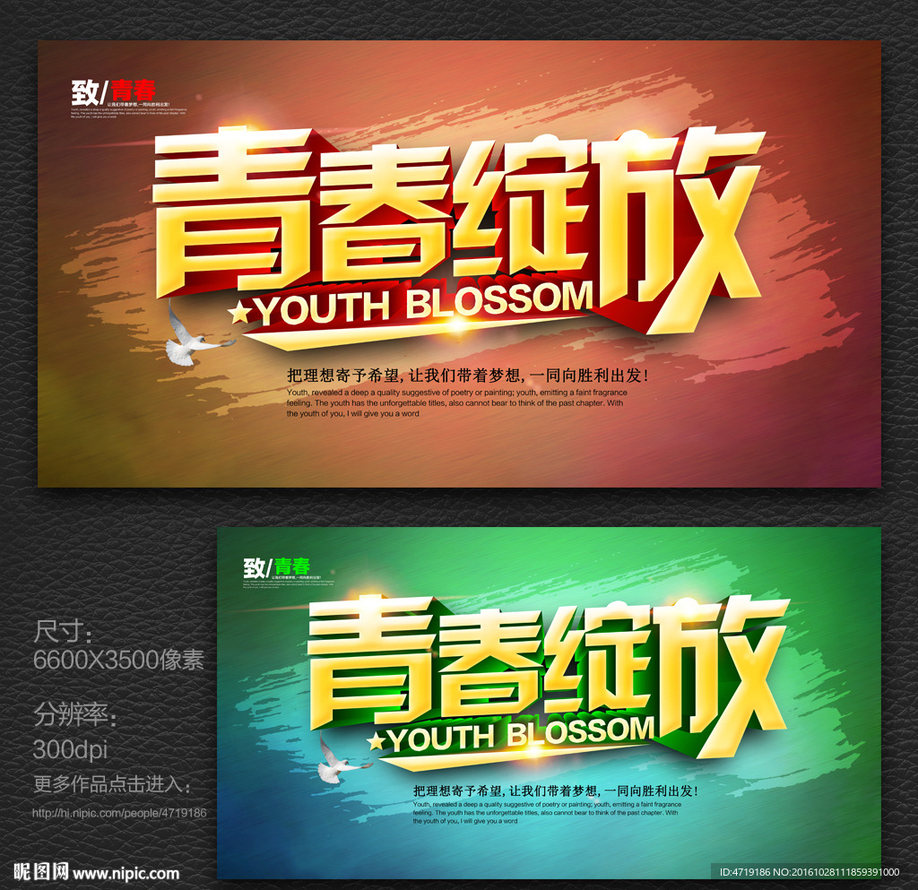 青春绽放