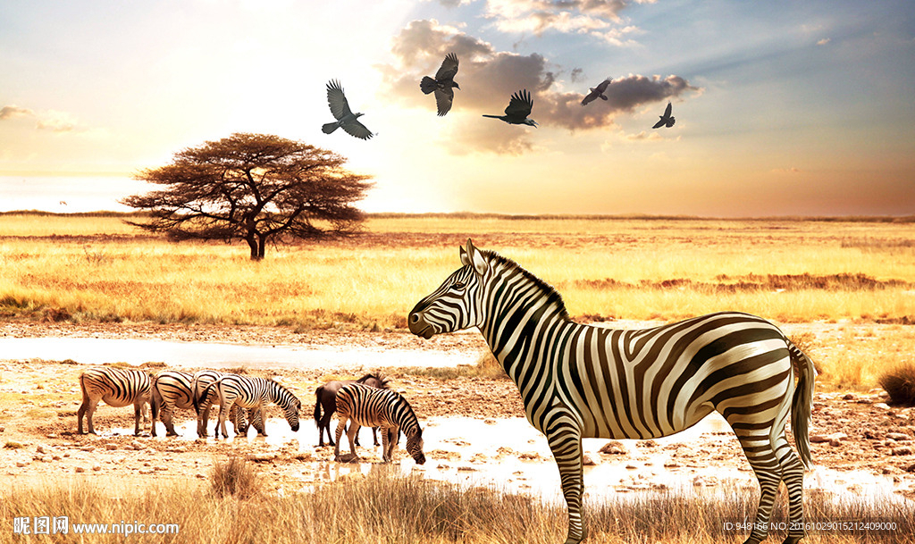 非洲草原风景背景墙