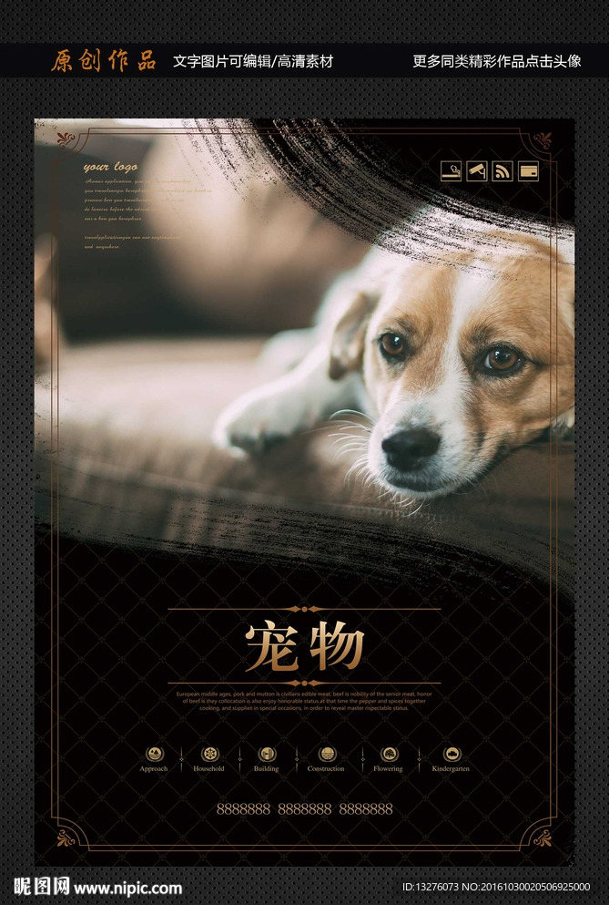 宠物