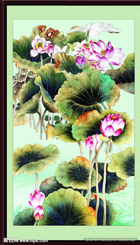荷花国画