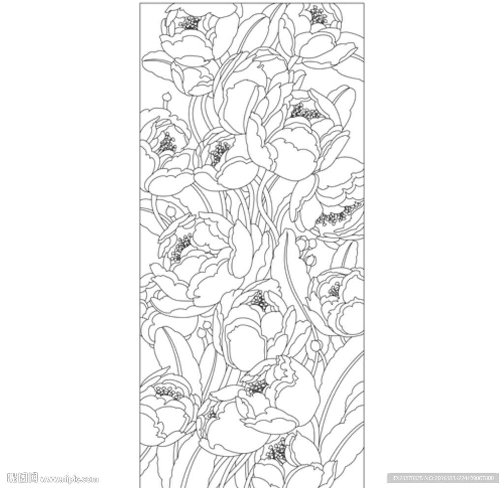 郁金香花