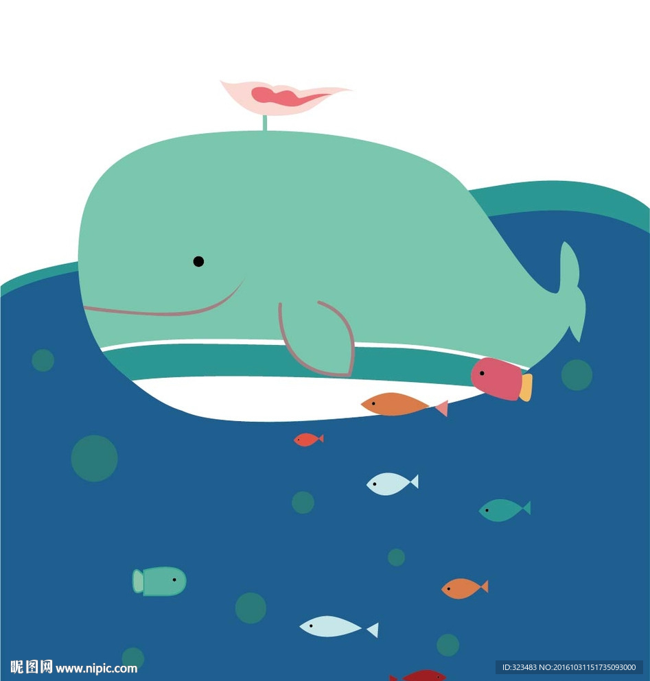 海豚和鱼