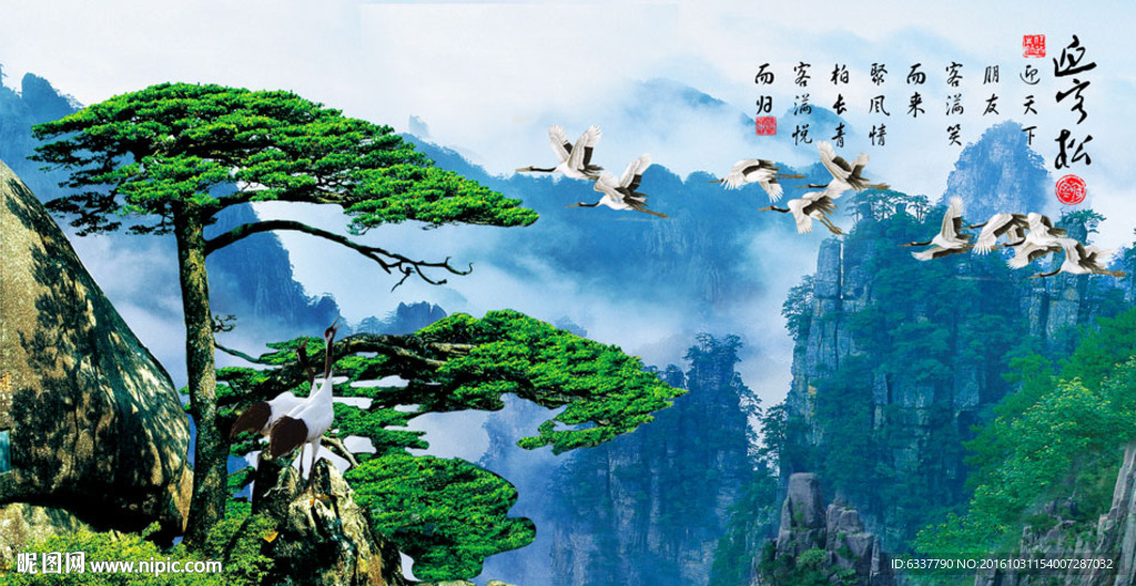 迎客松