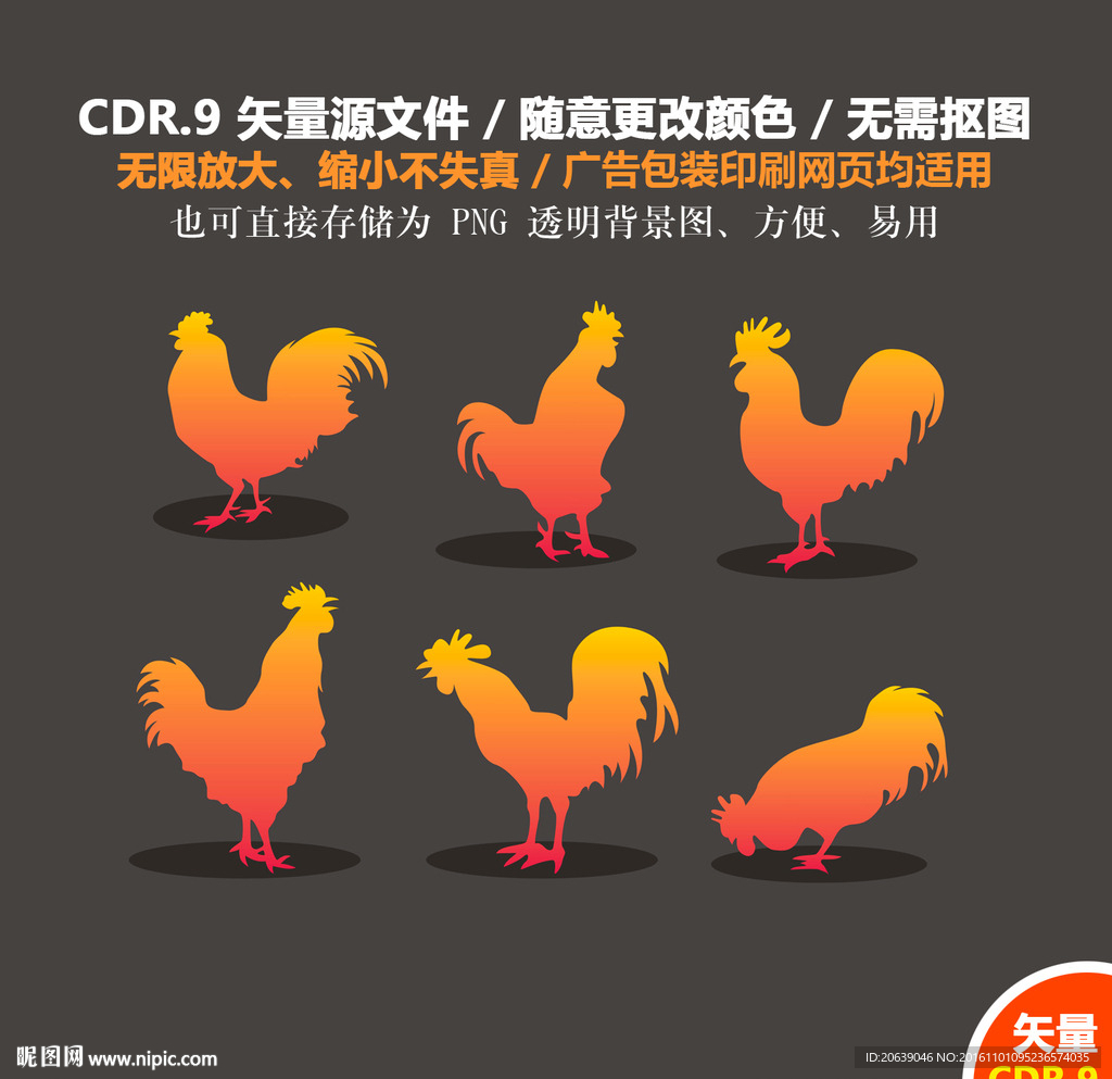 手绘公鸡雄鸡报晓矢量图