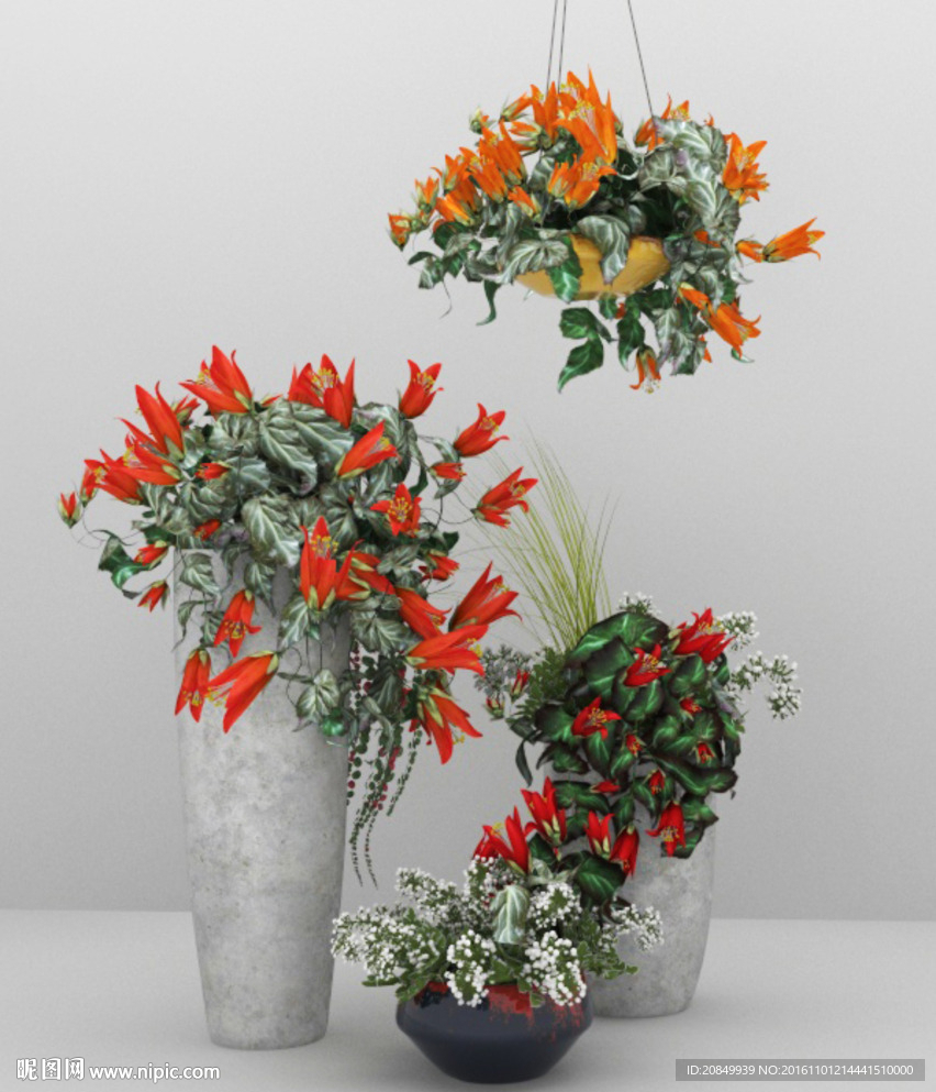 植物