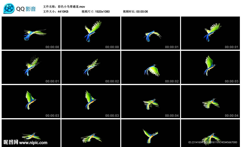 彩色小鸟带通道前景素材LED