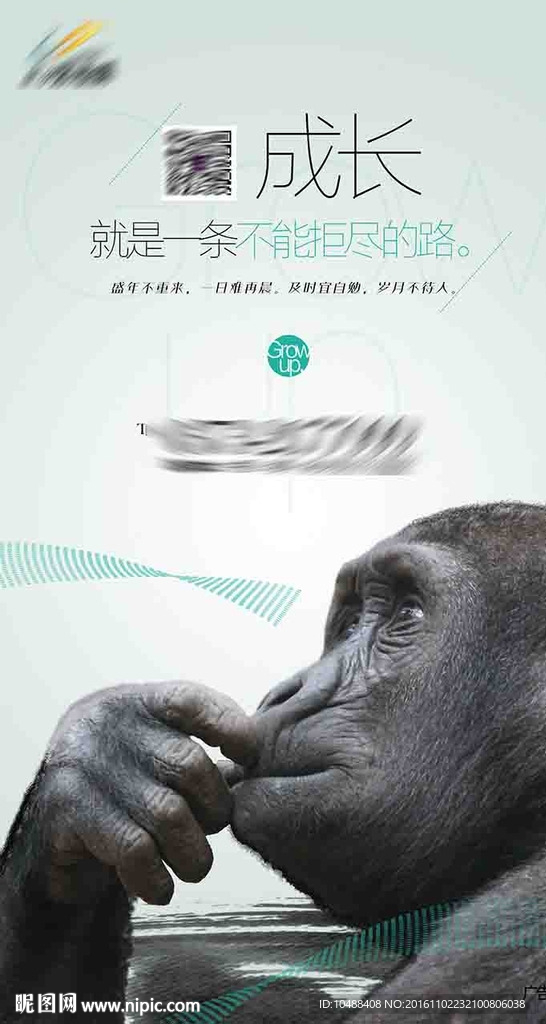 微信 海报 提案 报广 单页