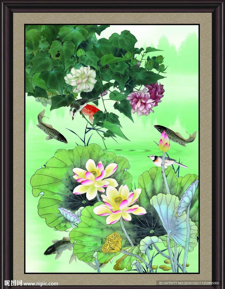 荷花图