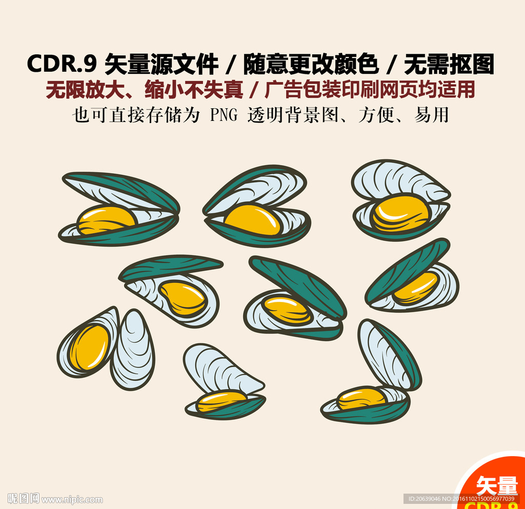 手绘贝壳矢量图标