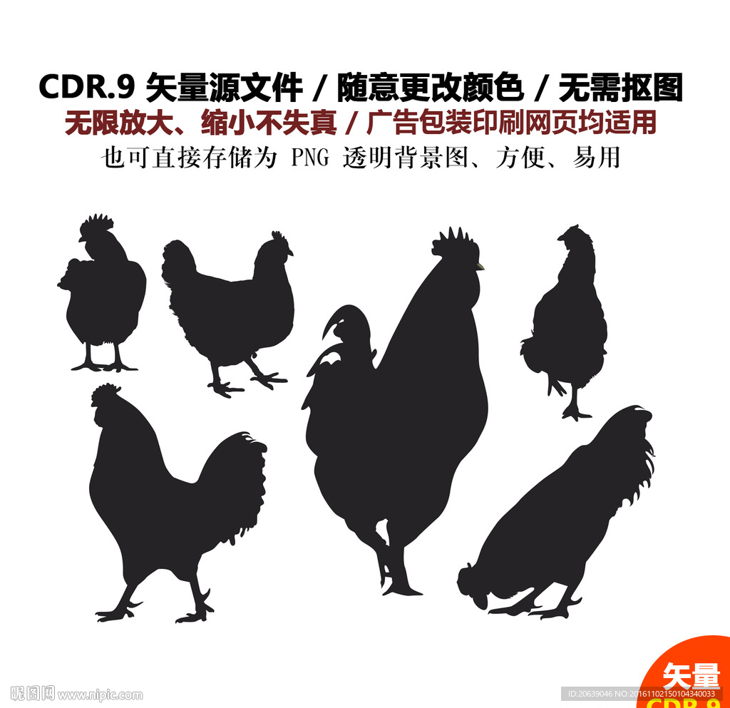 手绘线描母鸡鸡蛋矢量图