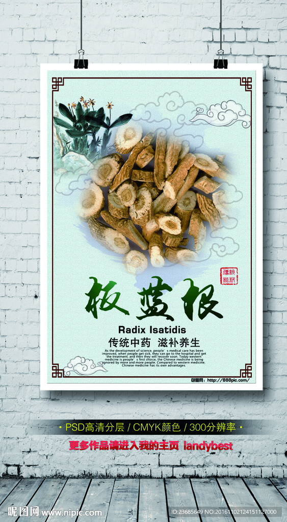 板蓝根