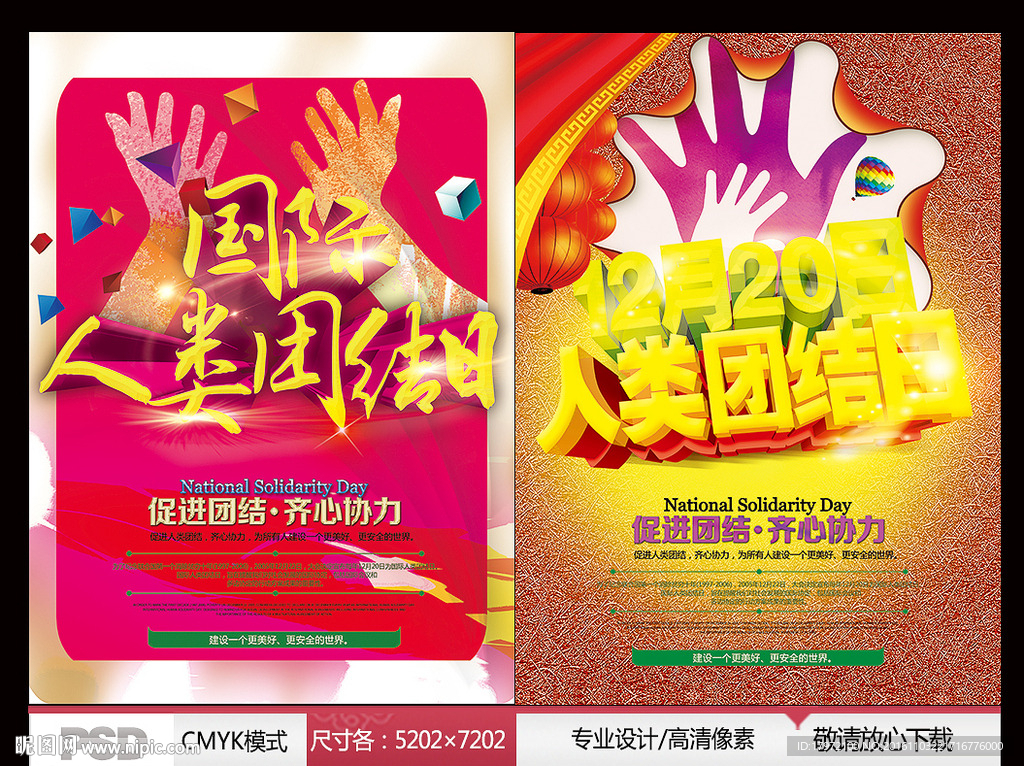 国际人类团结日