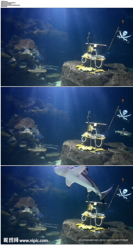 水族馆海底鲨鱼