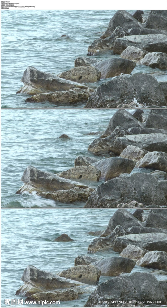 海水石头