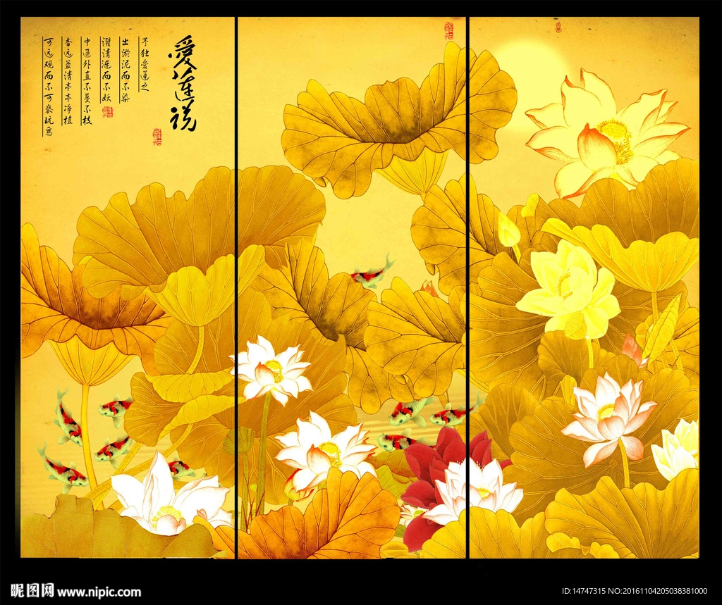 金色荷花