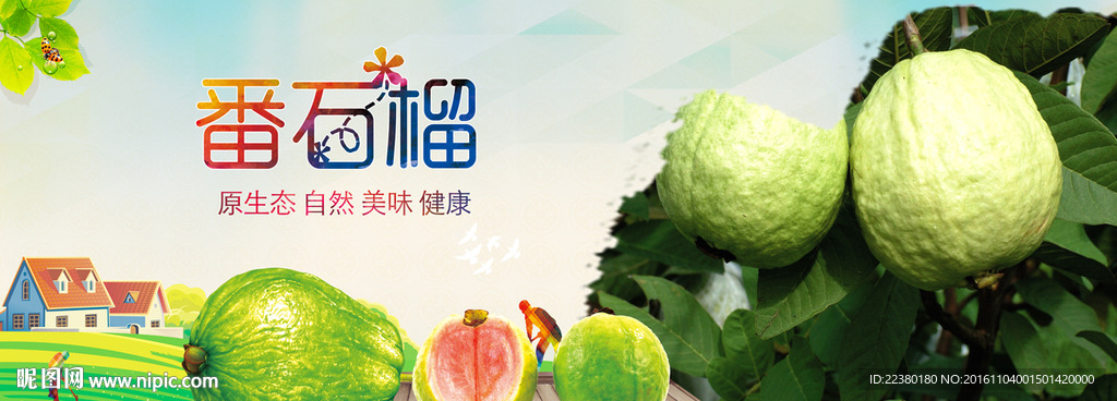番石榴