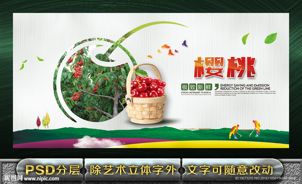 樱桃