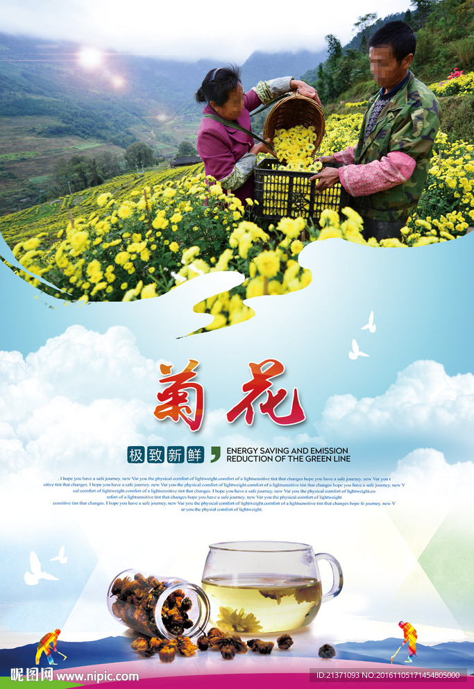 菊花茶