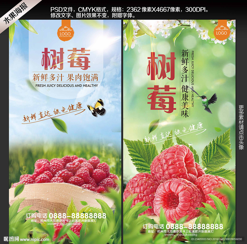 树莓