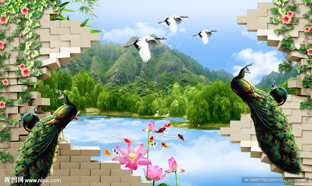 墙外孔雀美景湖光背景墙