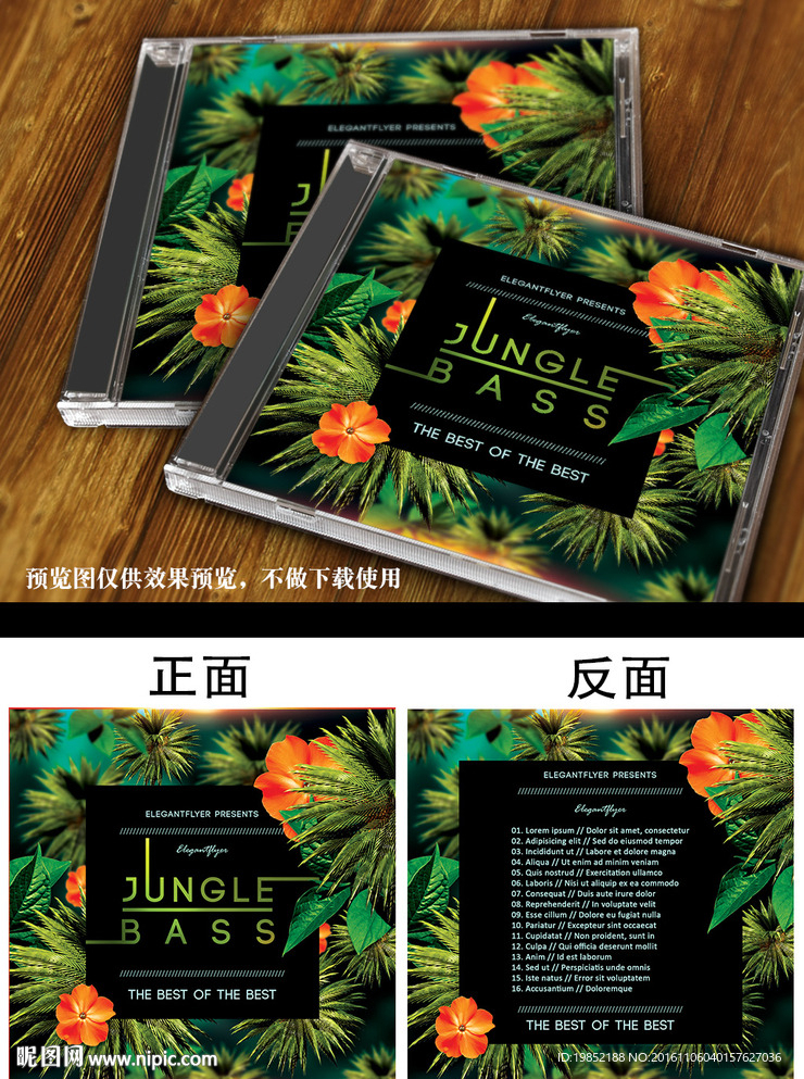 丛林音乐CD封面设计