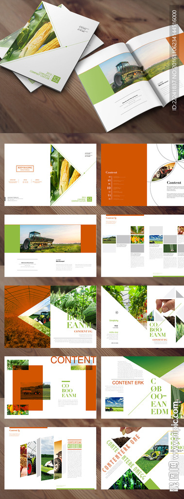 绿色大气农业画册