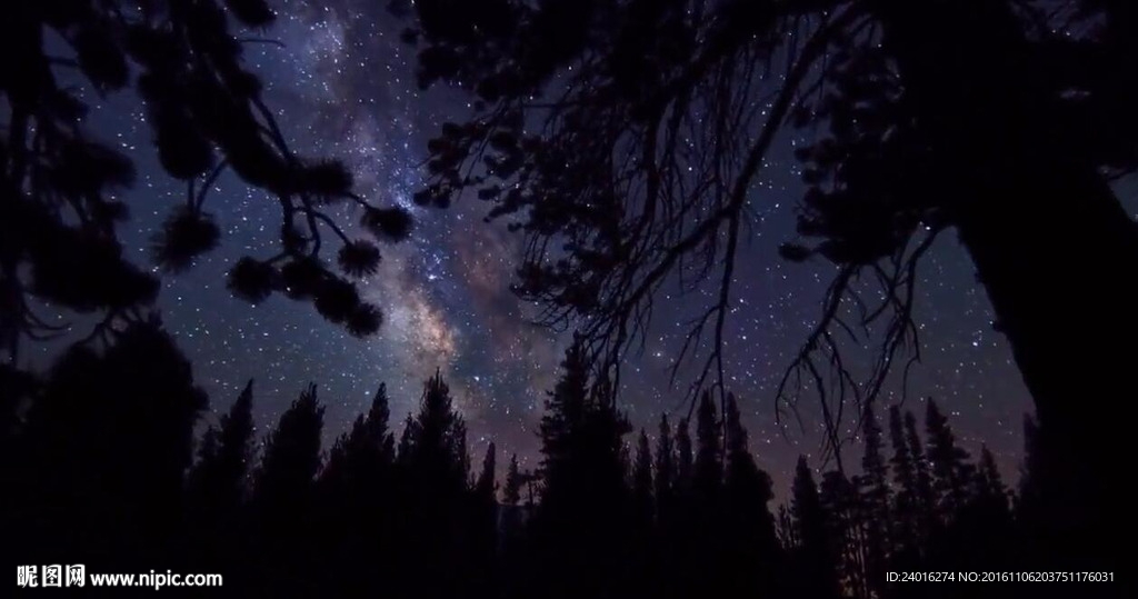 唯美夜景镜头转换