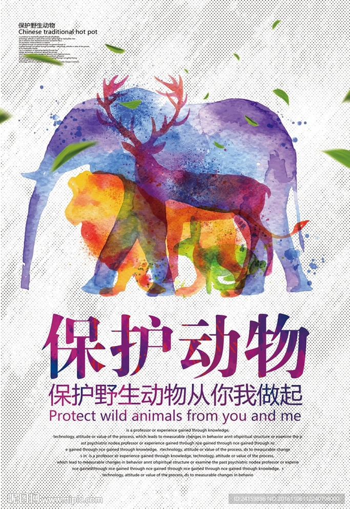 保护动物