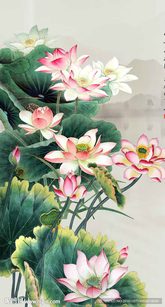 富贵荷花图