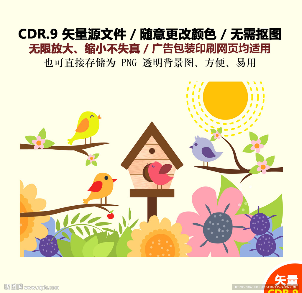 卡通可爱小鸟矢量图