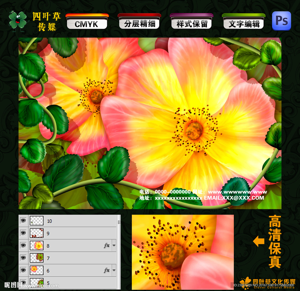 红黄花朵
