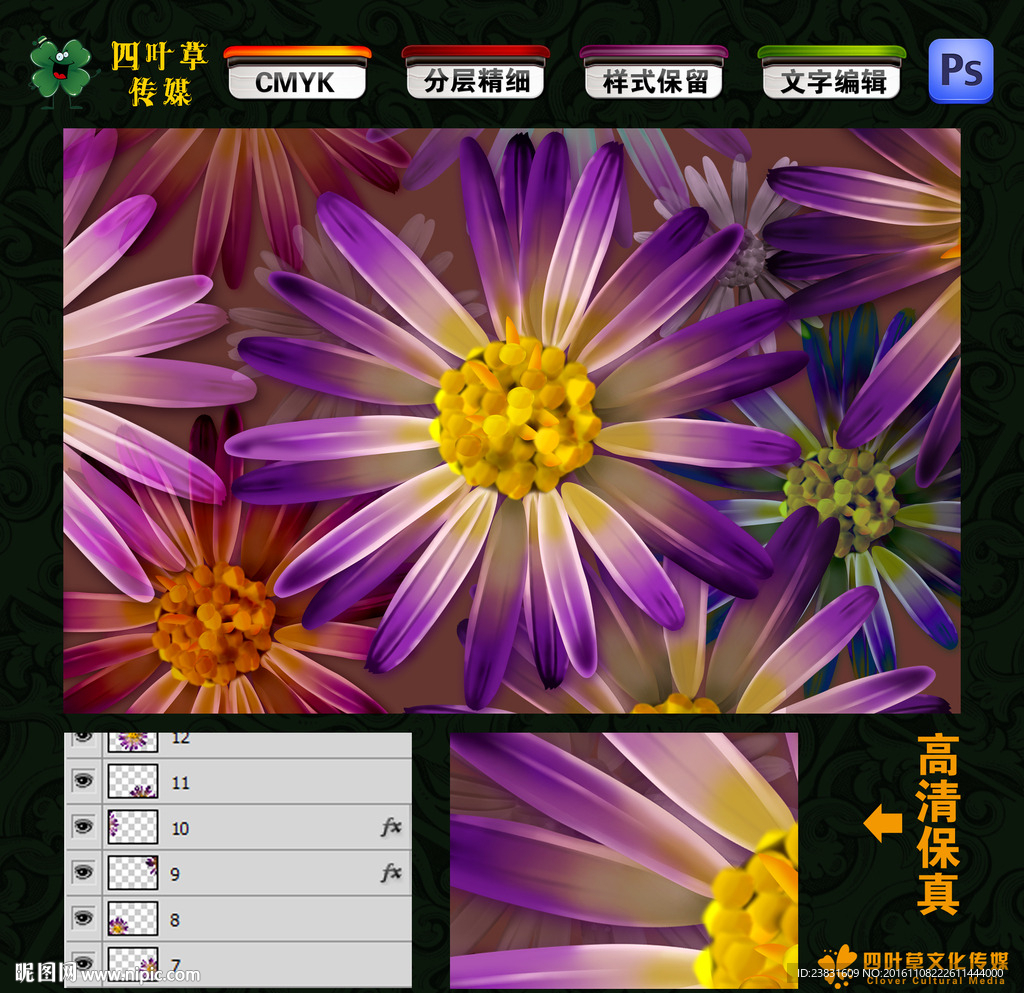紫色花朵